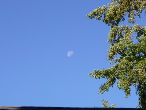 ????M???????????????????????????????