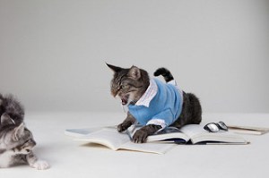 8055193189_056b28fdf5_n